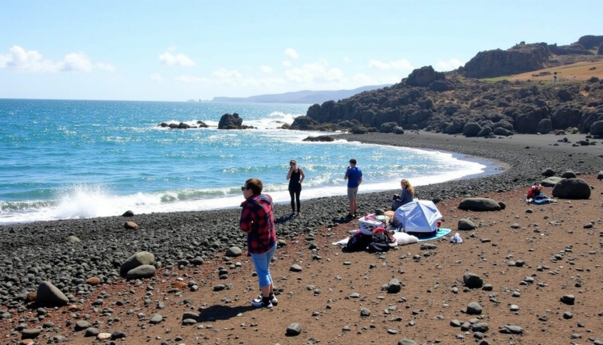 Les Canaries en février 2026 : découvrez le climat doux, les activités incontournables et nos conseils pratiques pour un voyage réussi